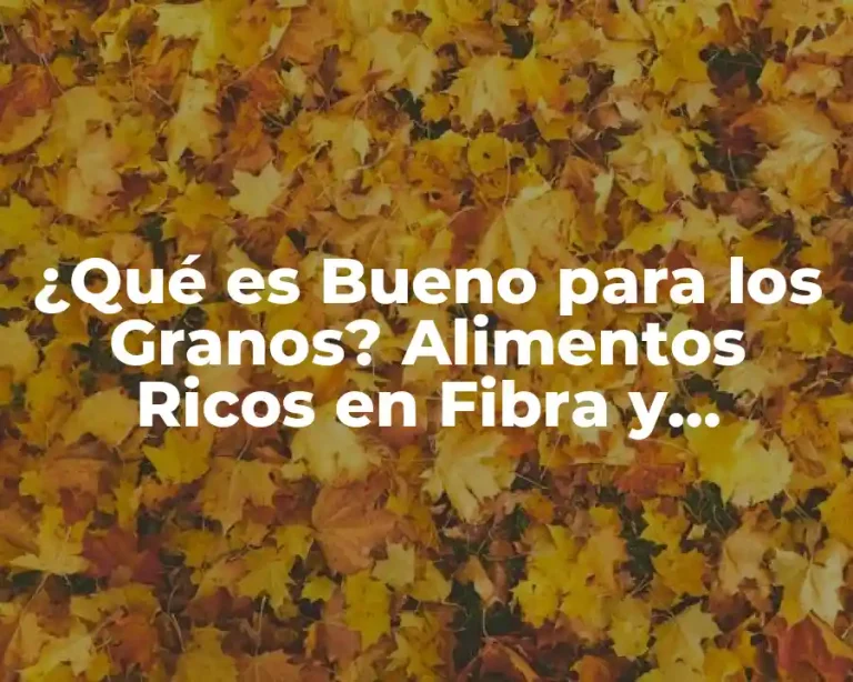 ¿Qué es Bueno para los Granos? Alimentos Ricos en Fibra y Nutrientes