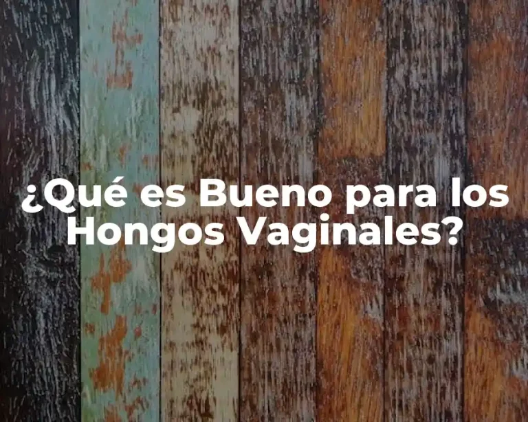 ¿Qué es Bueno para los Hongos Vaginales?
