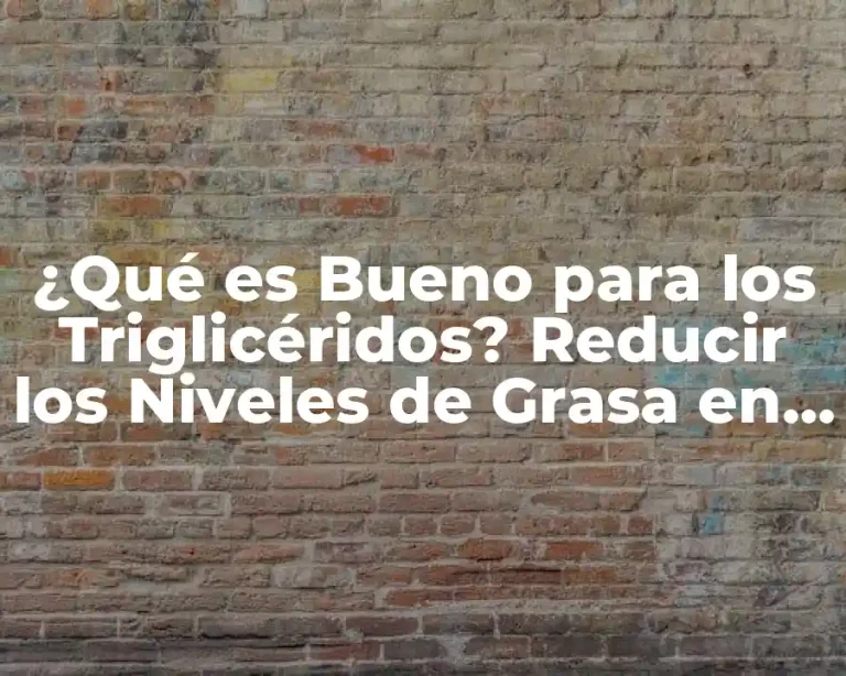 ¿Qué es Bueno para los Triglicéridos? Reducir los Niveles de Grasa en la Sangre