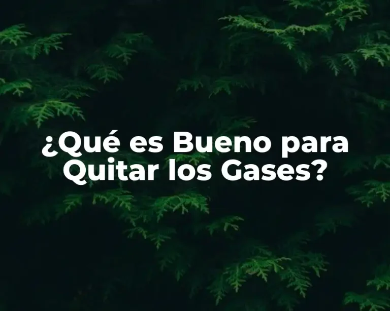 ¿Qué es Bueno para Quitar los Gases?