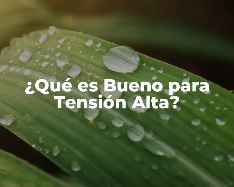 ¿Qué es Bueno para Tensión Alta?