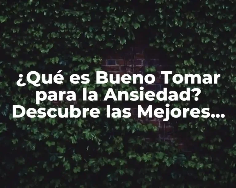 ¿Qué es Bueno Tomar para la Ansiedad? Descubre las Mejores Opciones Naturales