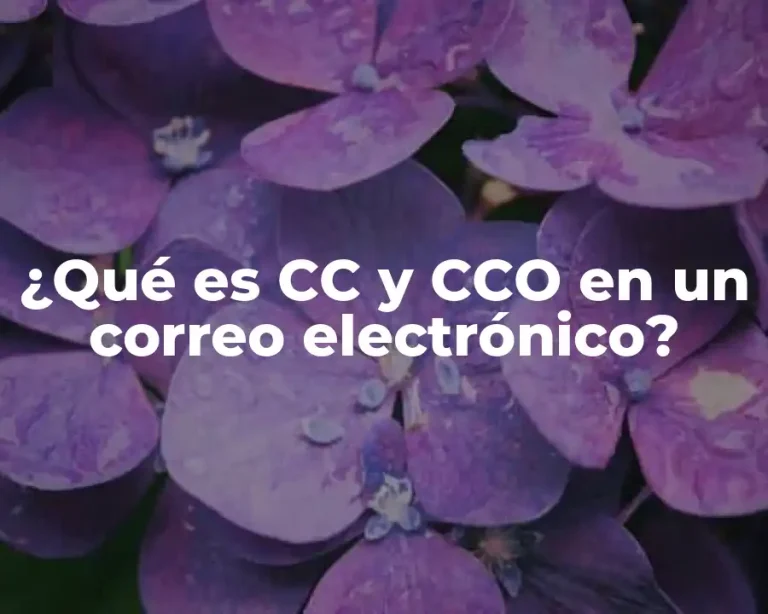 ¿Qué es CC y CCO en un correo electrónico?