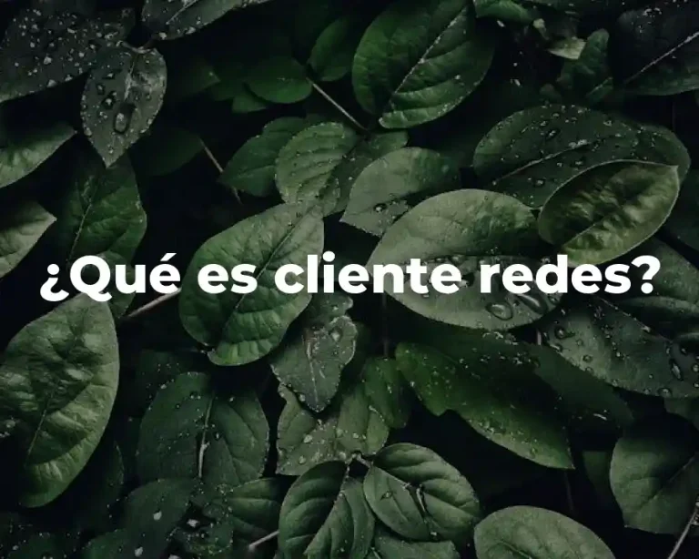 ¿Qué es cliente redes?