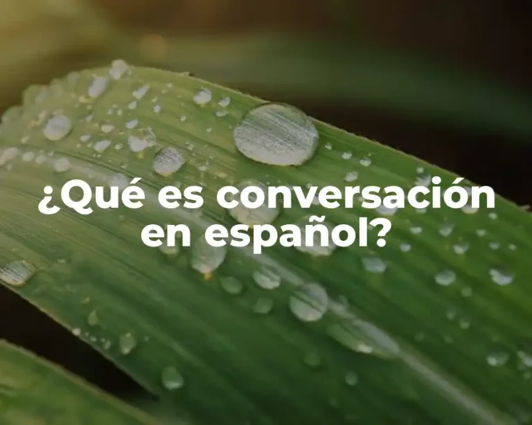 ¿Qué es conversación en español?