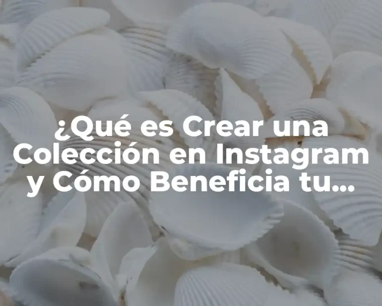 ¿Qué es Crear una Colección en Instagram y Cómo Beneficia tu Negocio?
