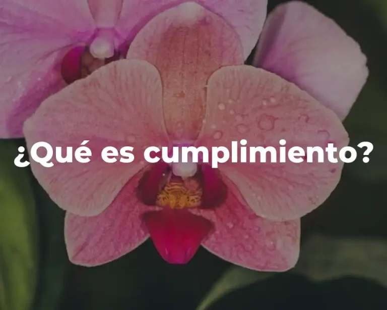 ¿Qué es cumplimiento?