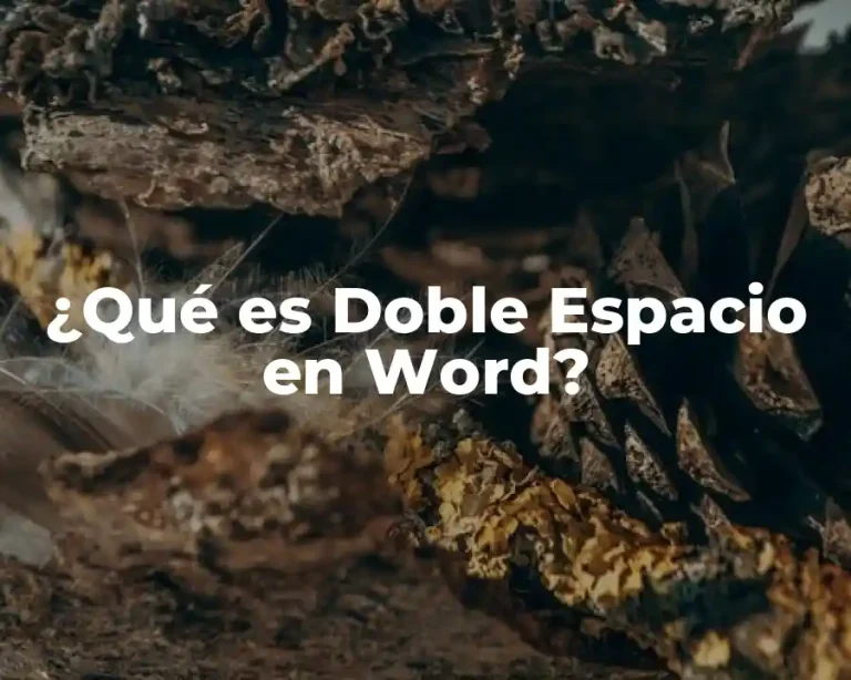 ¿Qué es Doble Espacio en Word?