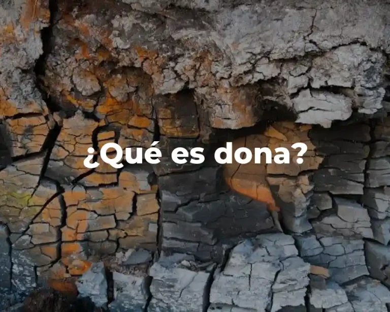 ¿Qué es dona?