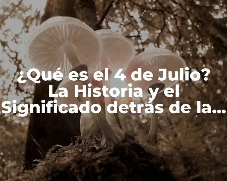 ¿Qué es el 4 de Julio? La Historia y el Significado detrás de la Independencia de EE. UU.