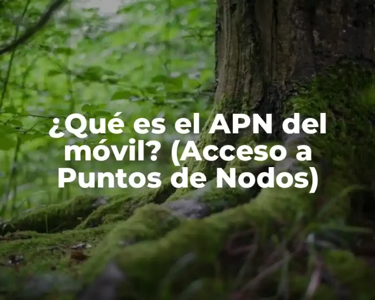 ¿Qué es el APN del móvil? (Acceso a Puntos de Nodos)
