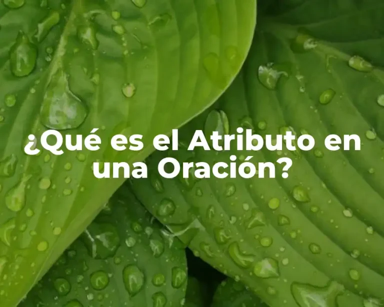 ¿Qué es el Atributo en una Oración?