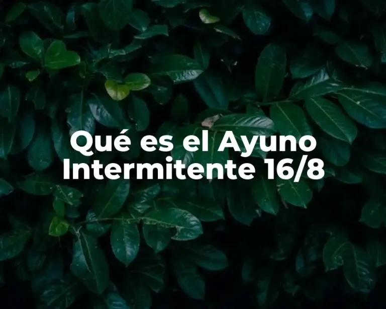 Qué es el Ayuno Intermitente 16/8