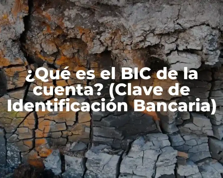 ¿Qué es el BIC de la cuenta? (Clave de Identificación Bancaria)