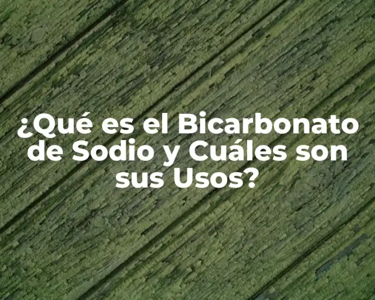 ¿Qué es el Bicarbonato de Sodio y Cuáles son sus Usos?