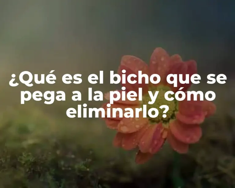 ¿Qué es el bicho que se pega a la piel y cómo eliminarlo?