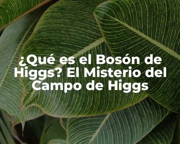 ¿Qué es el Bosón de Higgs? El Misterio del Campo de Higgs