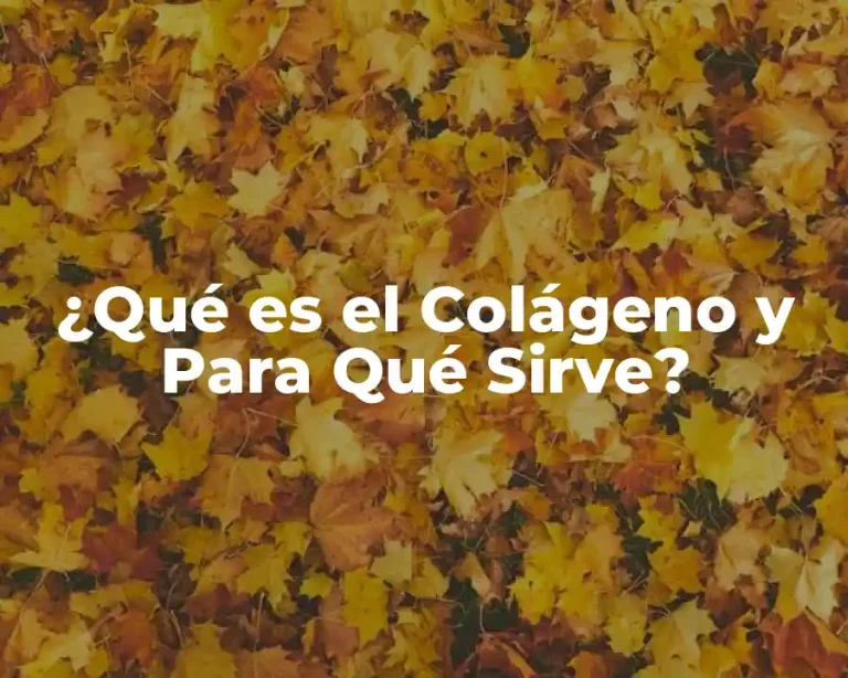 ¿Qué es el Colágeno y Para Qué Sirve?