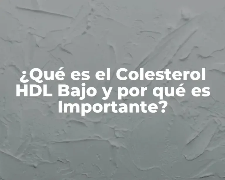 ¿Qué es el Colesterol HDL Bajo y por qué es Importante?