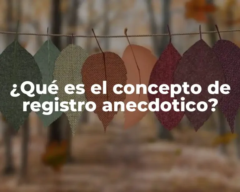 ¿Qué es el concepto de registro anecdotico?