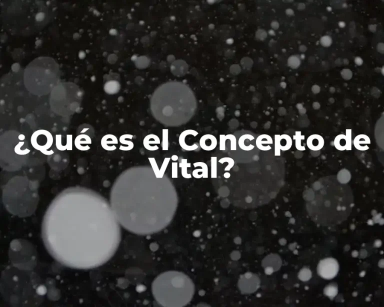 ¿Qué es el Concepto de Vital?