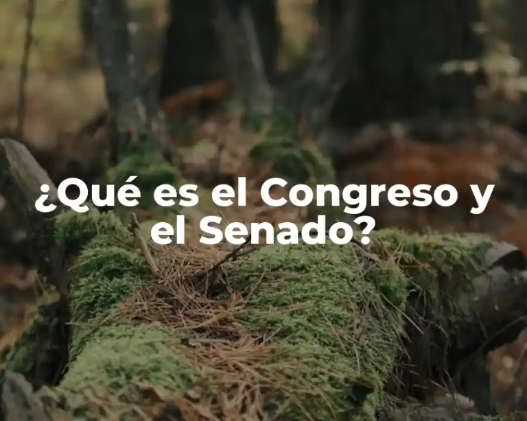 ¿Qué es el Congreso y el Senado?