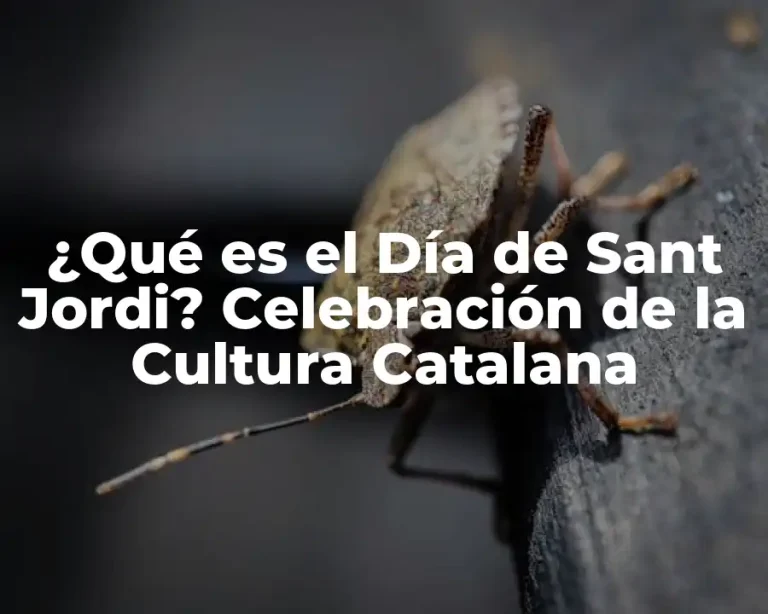 ¿Qué es el Día de Sant Jordi? Celebración de la Cultura Catalana