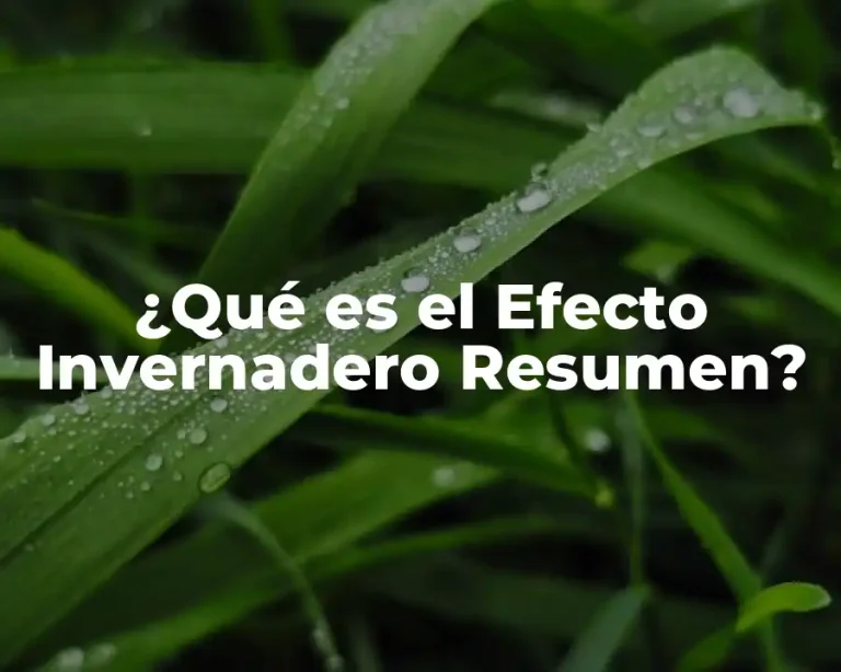 ¿Qué es el Efecto Invernadero Resumen?