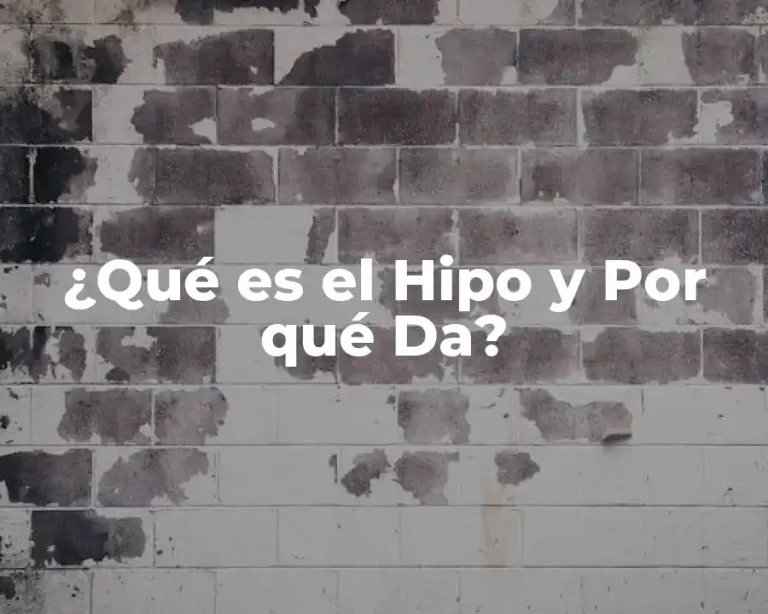 ¿Qué es el Hipo y Por qué Da?