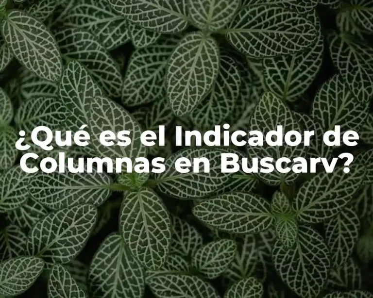 ¿Qué es el Indicador de Columnas en Buscarv?
