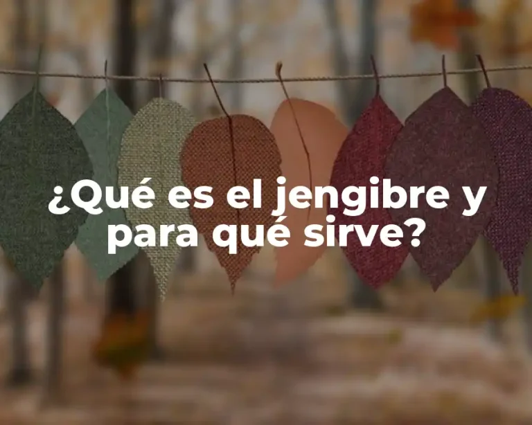 ¿Qué es el jengibre y para qué sirve?