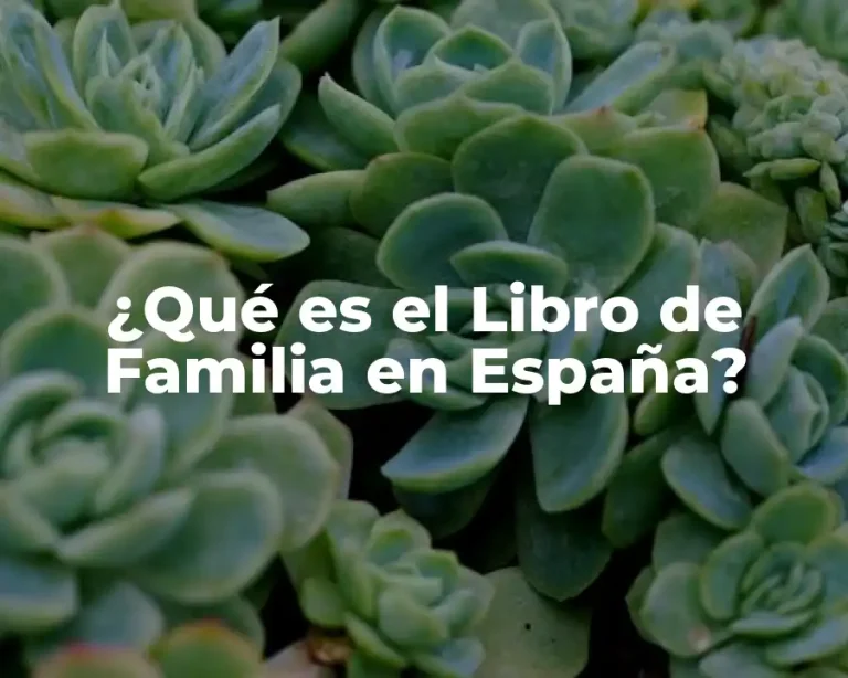 ¿Qué es el Libro de Familia en España?