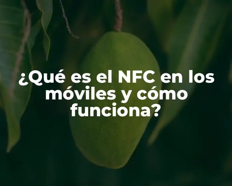 ¿Qué es el NFC en los móviles y cómo funciona?