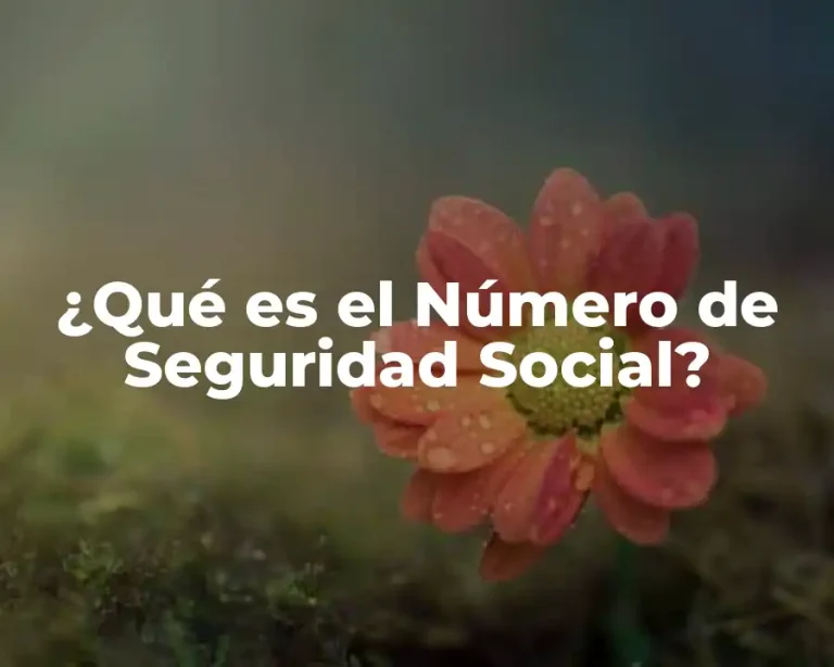 ¿Qué es el Número de Seguridad Social?