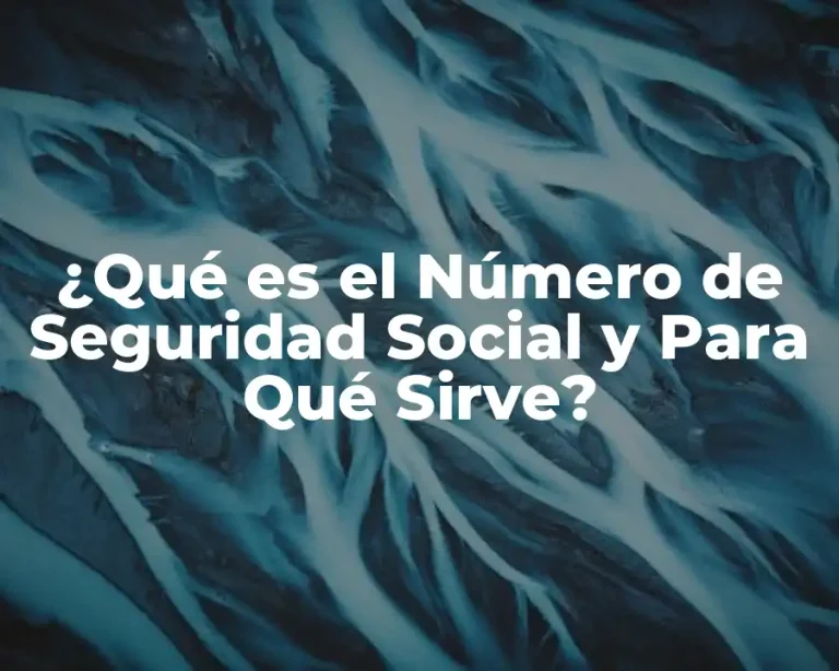 ¿Qué es el Número de Seguridad Social y Para Qué Sirve?