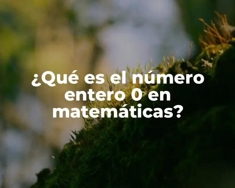 ¿Qué es el número entero 0 en matemáticas?