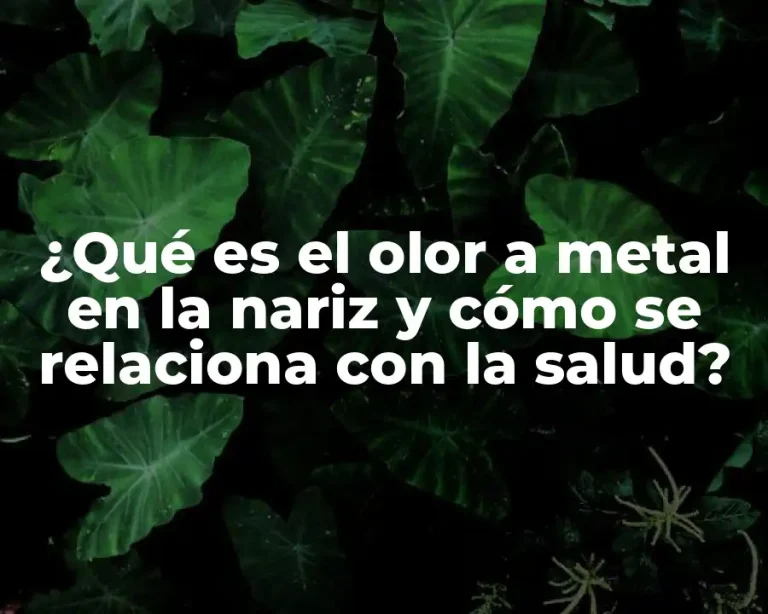 ¿Qué es el olor a metal en la nariz y cómo se relaciona con la salud?