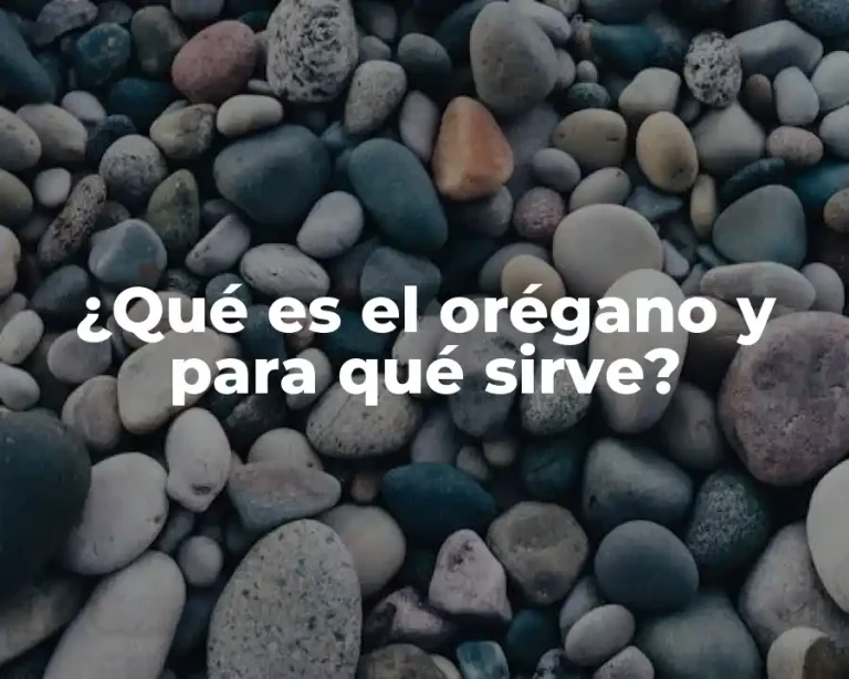 ¿Qué es el orégano y para qué sirve?