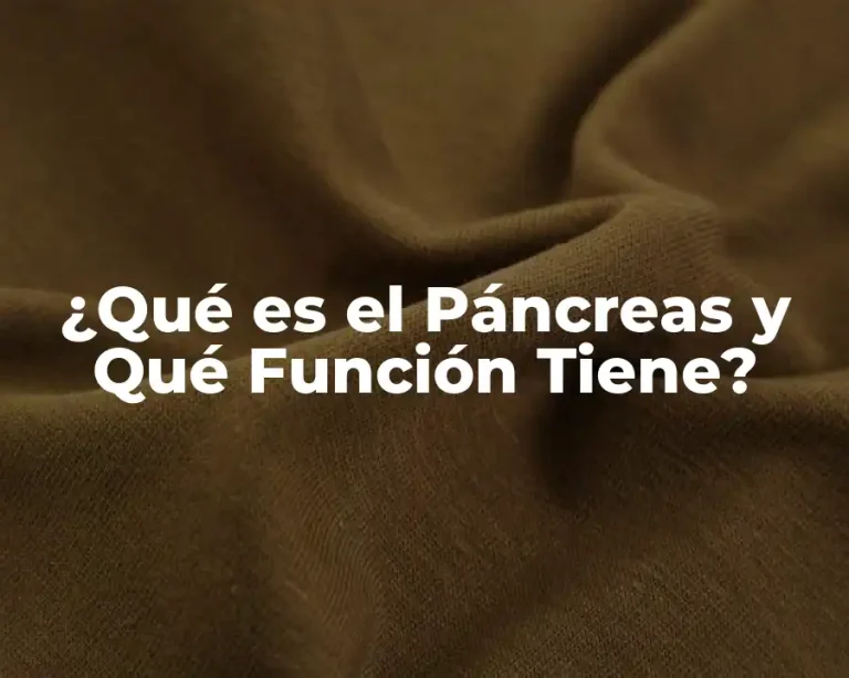 ¿Qué es el Páncreas y Qué Función Tiene?