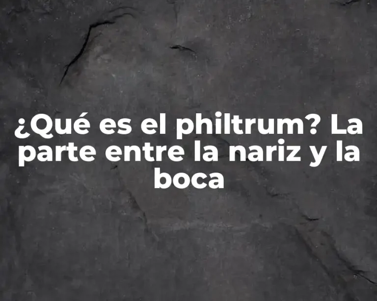 ¿Qué es el philtrum? La parte entre la nariz y la boca