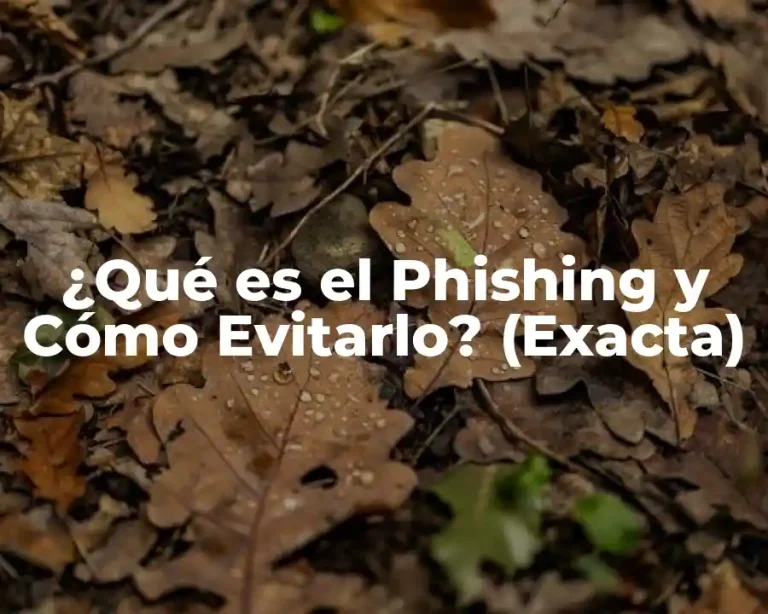 ¿Qué es el Phishing y Cómo Evitarlo? (Exacta)