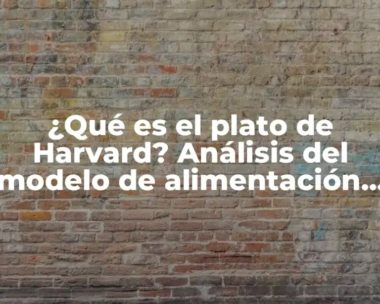 ¿Qué es el plato de Harvard? Análisis del modelo de alimentación ideal