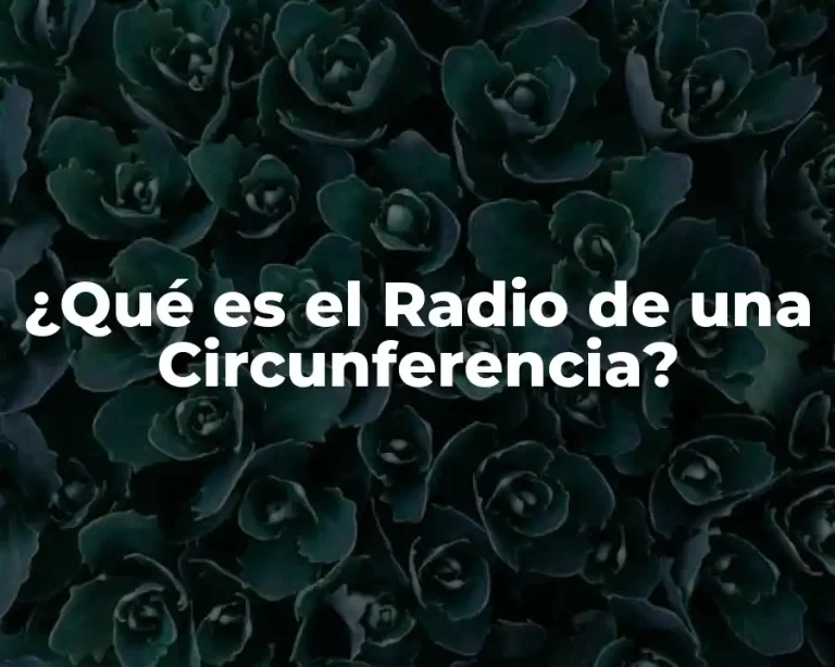 ¿Qué es el Radio de una Circunferencia?