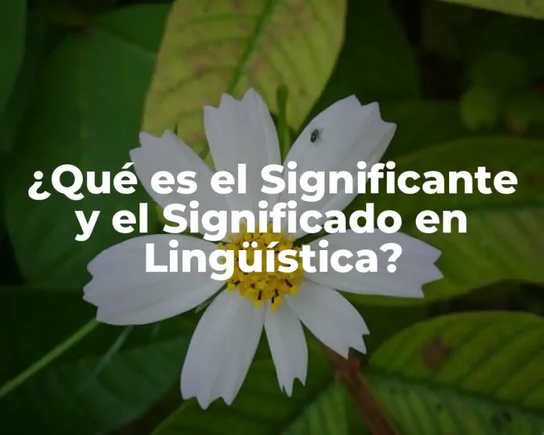 ¿Qué es el Significante y el Significado en Lingüística?