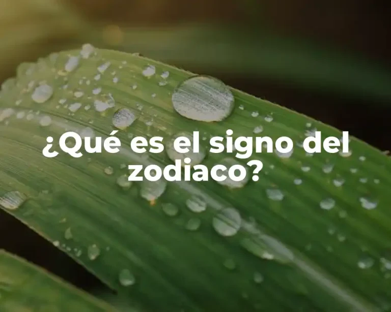 ¿Qué es el signo del zodiaco?