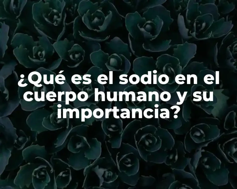 ¿Qué es el sodio en el cuerpo humano y su importancia?