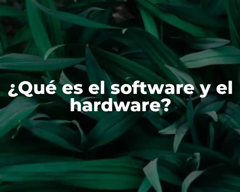 ¿Qué es el software y el hardware?