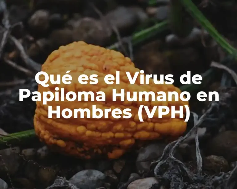 Qué es el Virus de Papiloma Humano en Hombres (VPH)