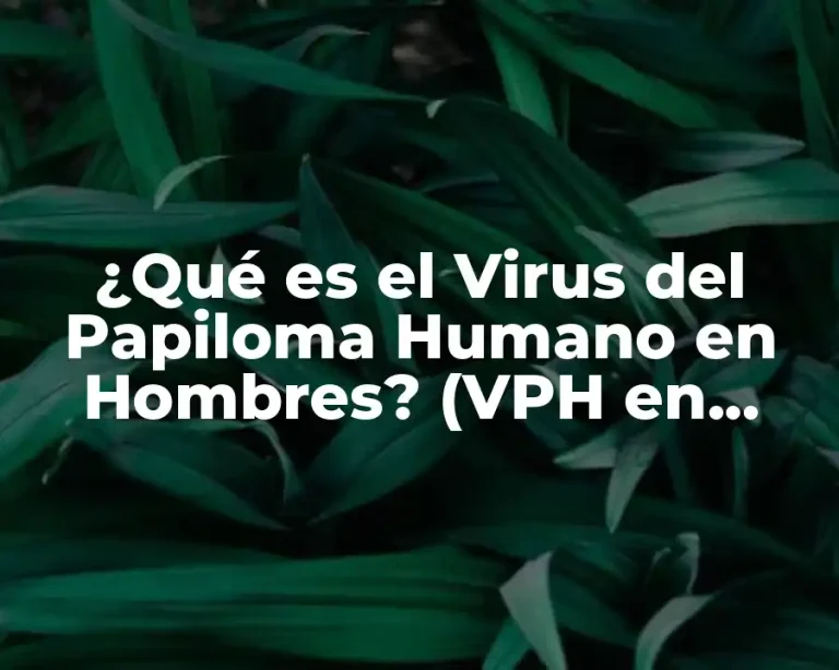 ¿Qué es el Virus del Papiloma Humano en Hombres? (VPH en Hombres)