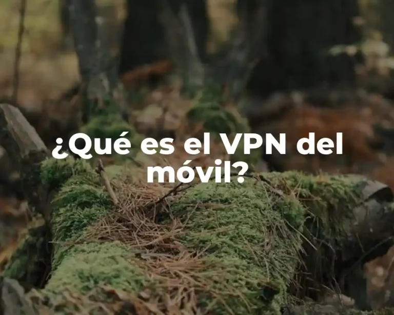 ¿Qué es el VPN del móvil?